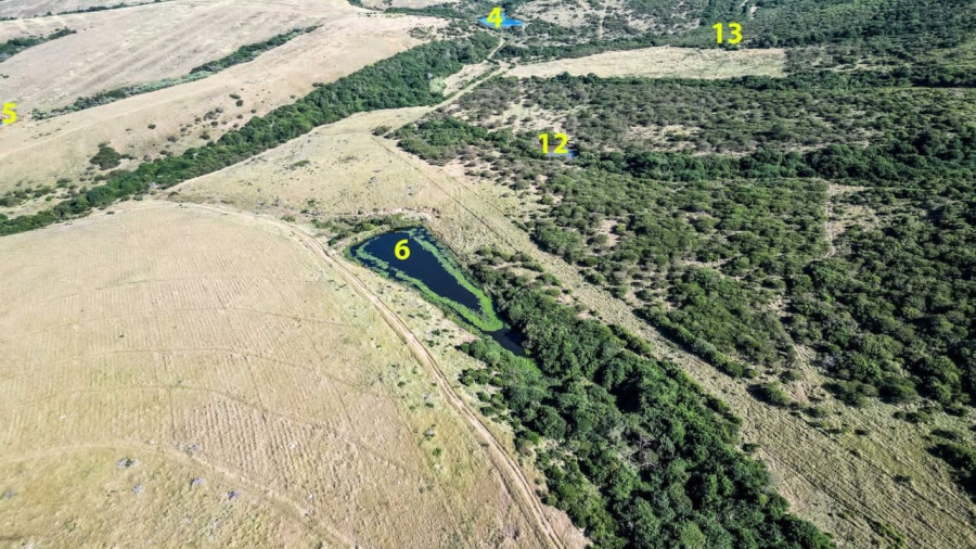 Commercial Property for Sale in East London Rural Eastern Cape